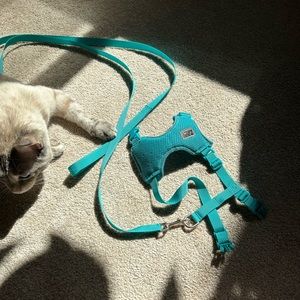 RC Pet Cat Harness Small Size Blue Teal